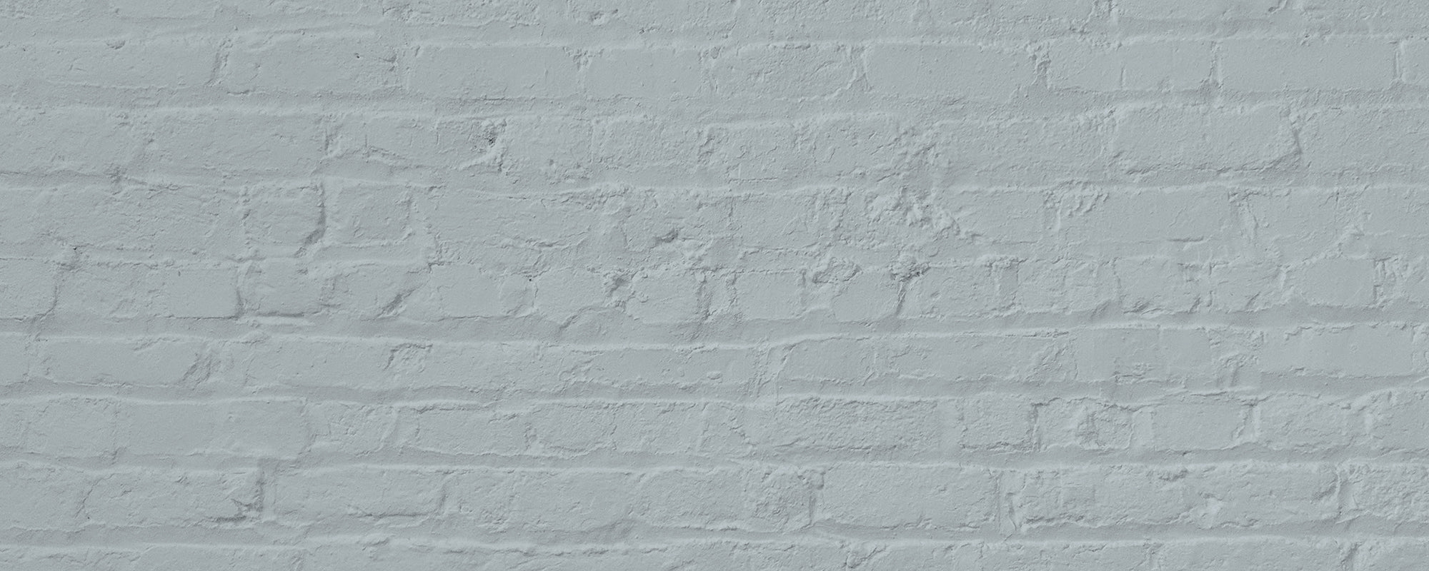 Pale Blue paint called The Good China by COAT Paints the eco friendly paint company