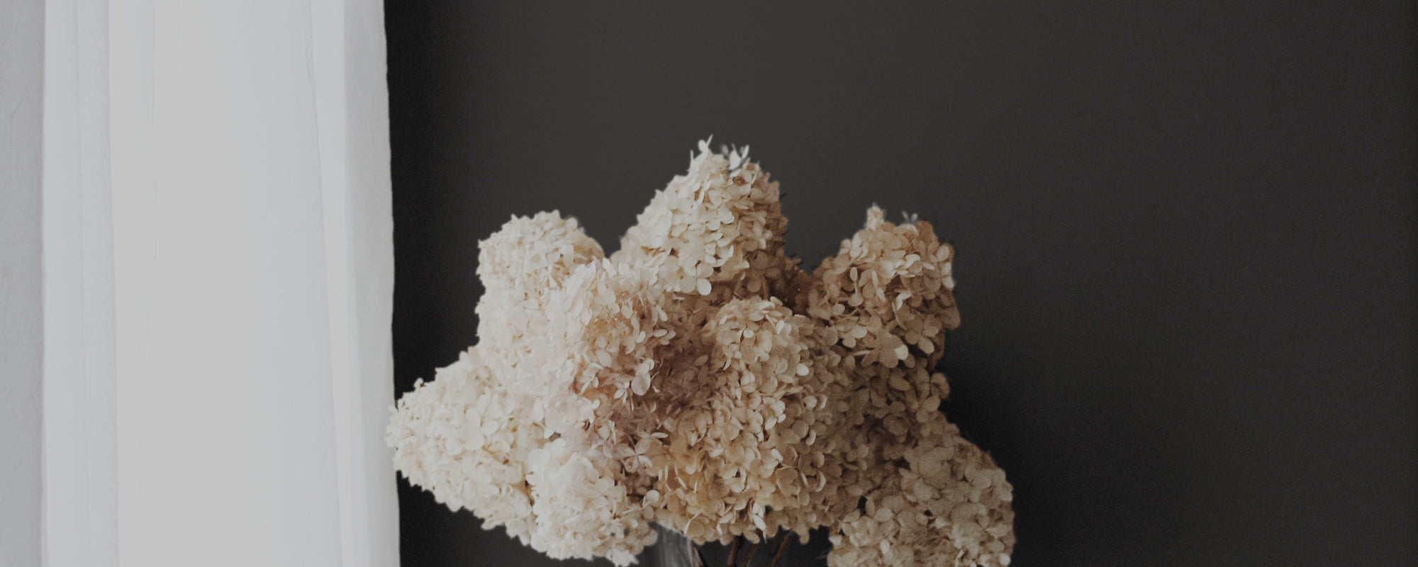 Warm Black paint called The Record Store by COAT Paints the eco friendly paint company