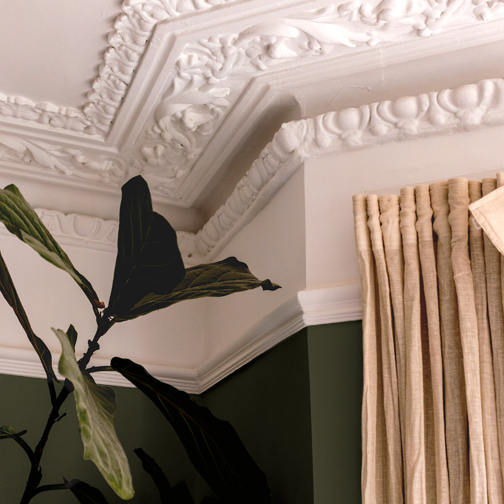 Deep Bronze Green paint called The Tobacconist by COAT Paints the eco friendly paint company