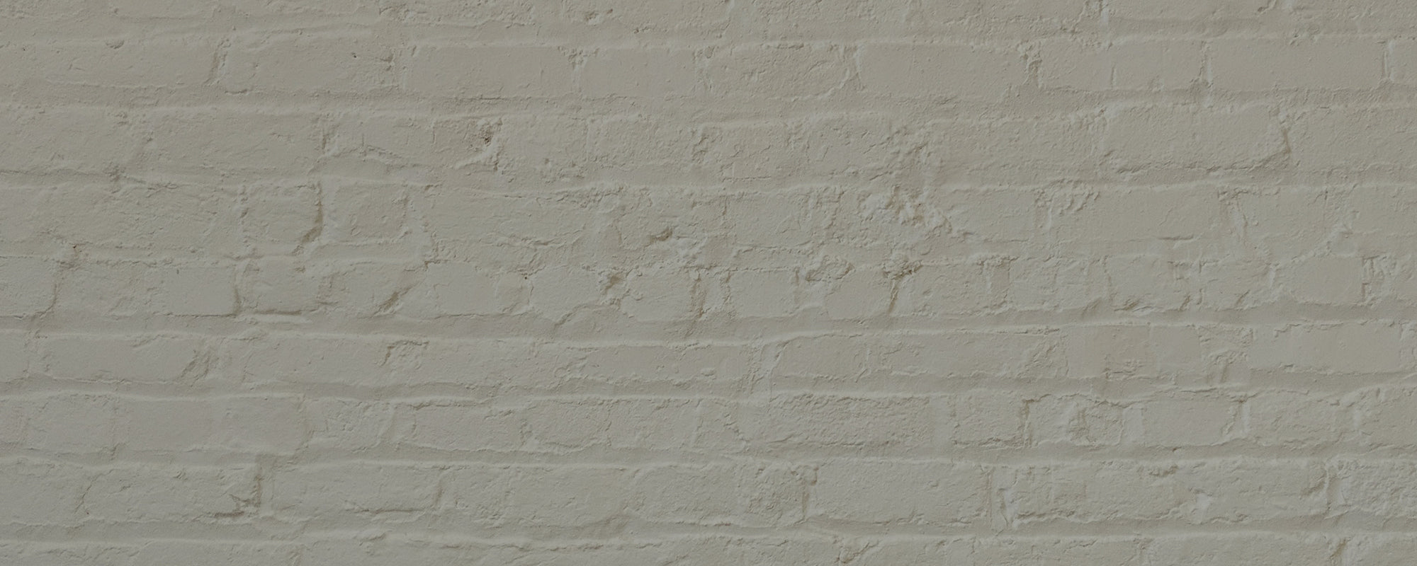 Green Grey paint called The Trail by COAT Paints the eco friendly paint company