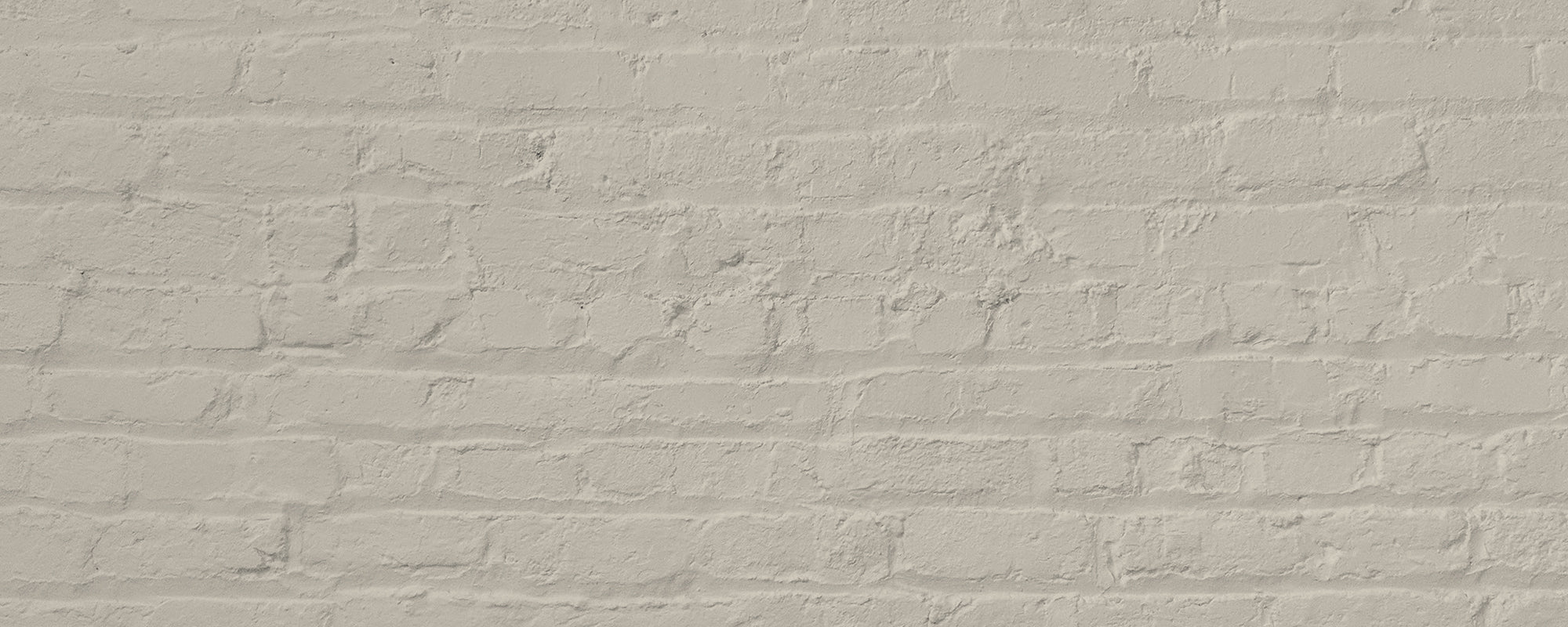 Light Greige paint called Tuesday's Child by COAT Paints the eco friendly paint company