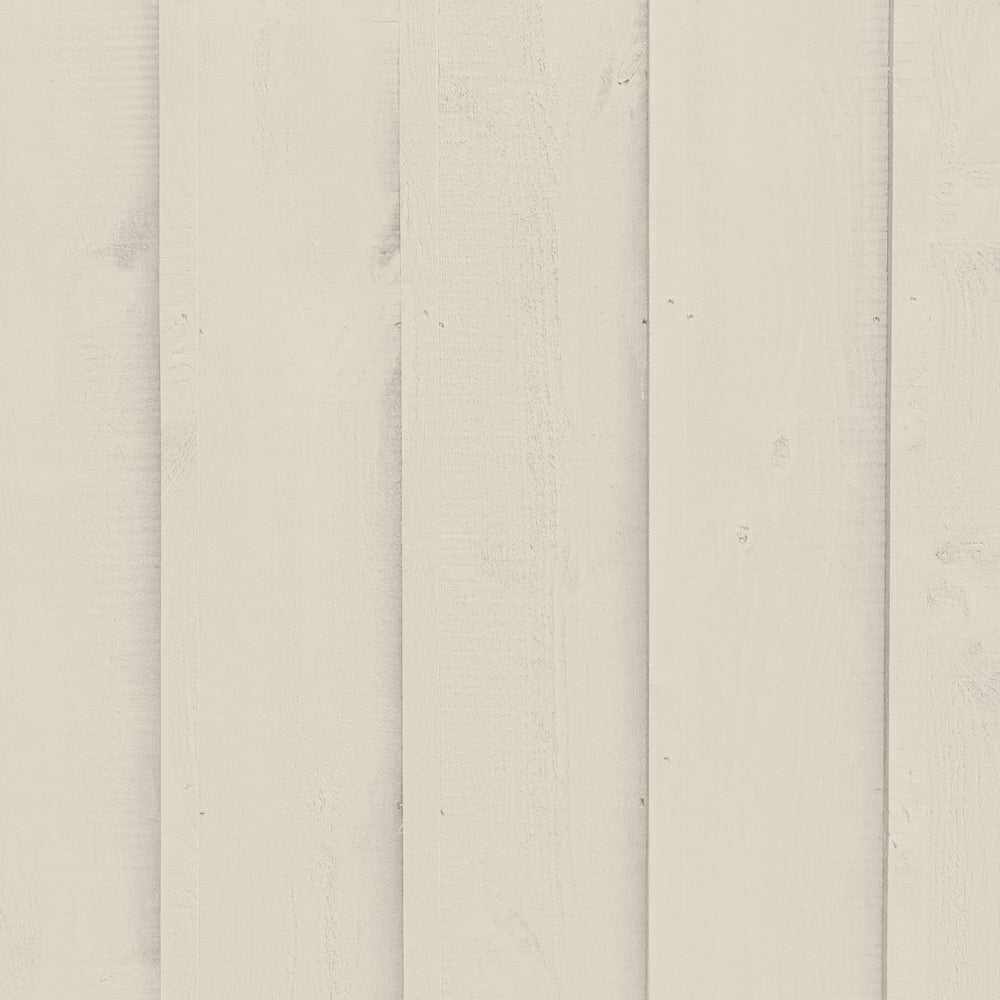 Light Greige paint called Tuesday's Child by COAT Paints the eco friendly paint company