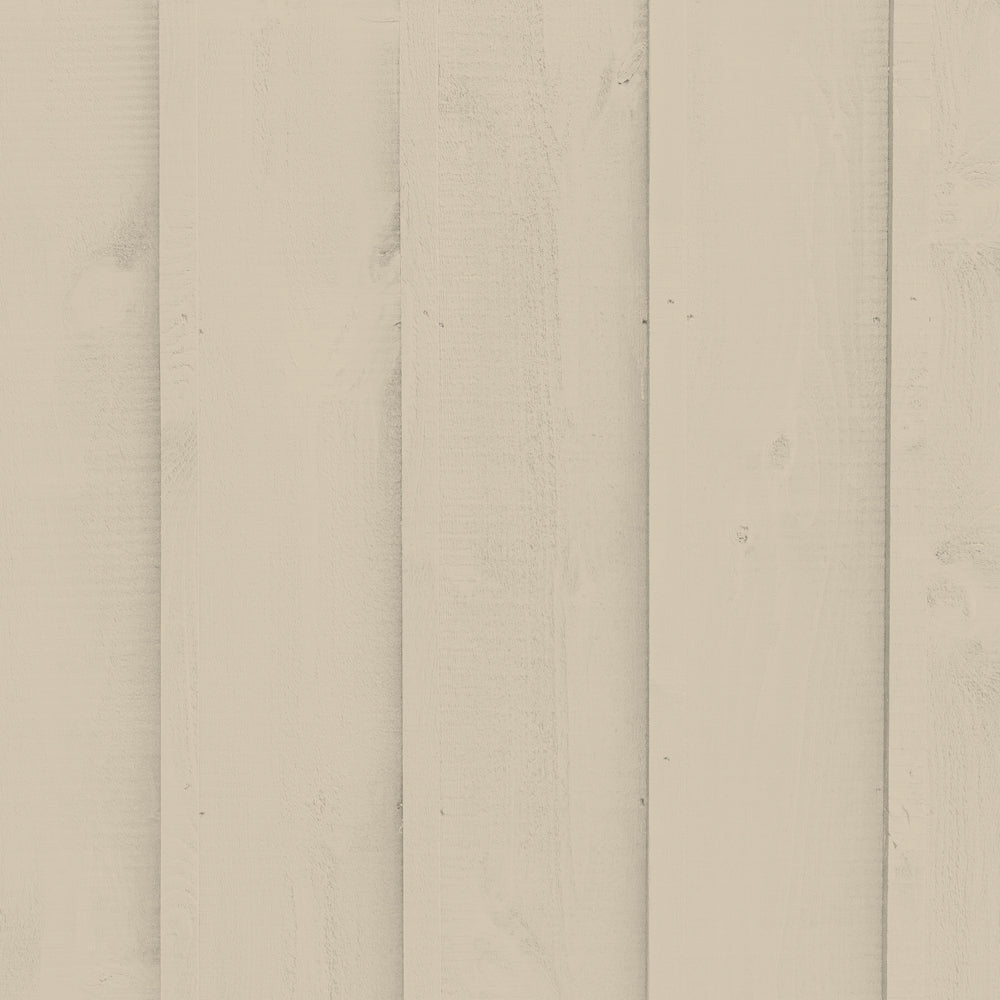 Biscuit Beige paint called Well Grounded by COAT Paints the eco friendly paint company