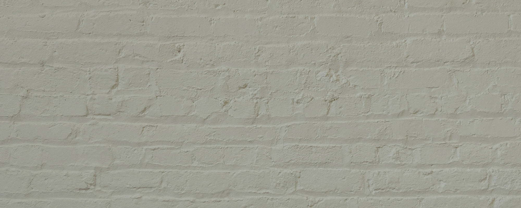 Hazy Grey Green paint called Yard Party by COAT Paints the eco friendly paint company