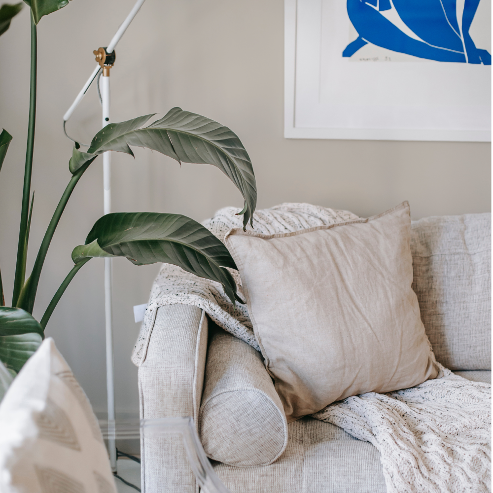 Warm Stone paint called Ambrose by COAT Paints the eco friendly paint company