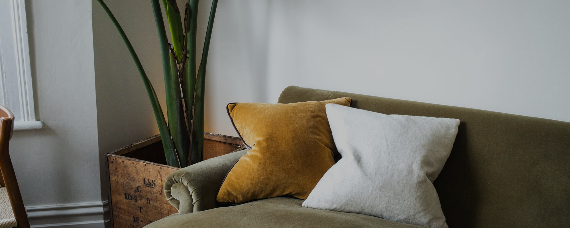 Beige Off White paint called Safe Play by COAT Paints the eco friendly paint company