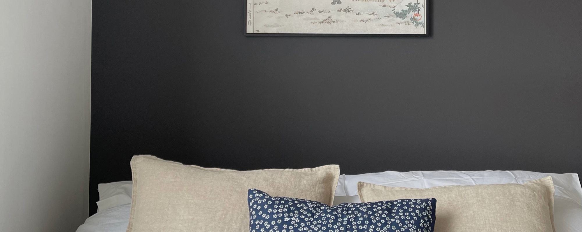 Charcoal Black paint called David Rose by COAT Paints the eco friendly paint company